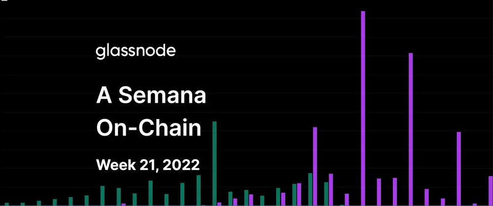 Um Urso de Retornos Decrescentes