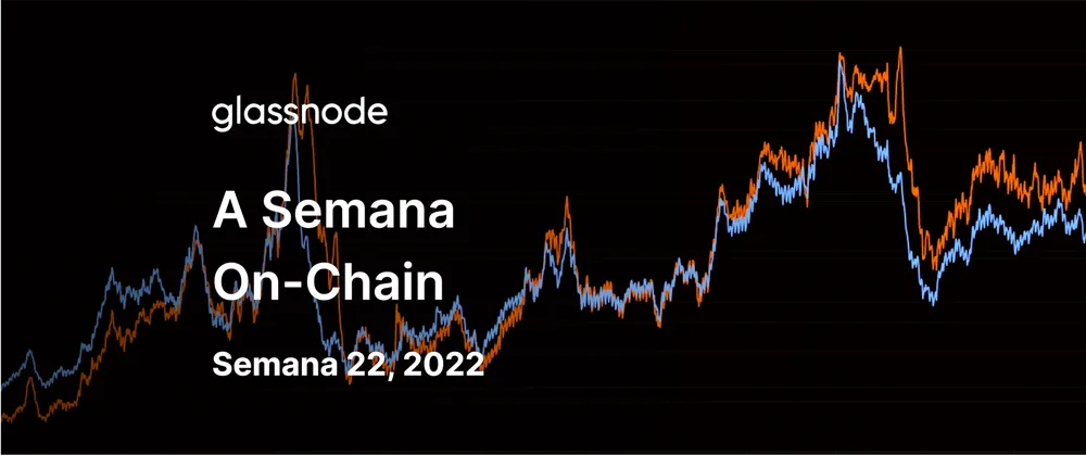HODLers Endurecidos Dobram Posição