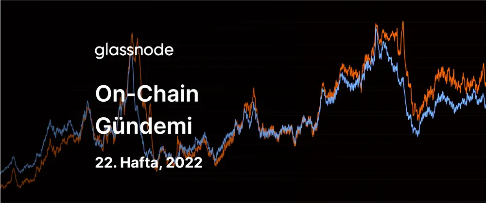 HODLer'lar Kararlılıklarını Sürdürüyor