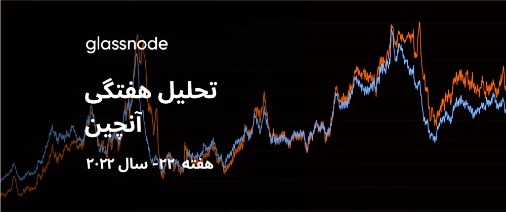 هولدرهای سرسخت،مصمم‌تر از همیشه