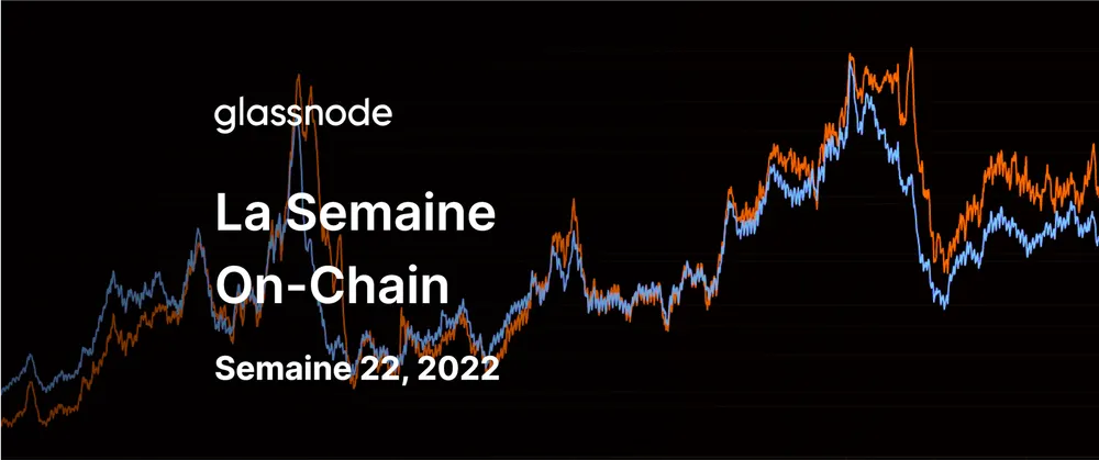 Les HODLers Endurcis Doublent la Mise