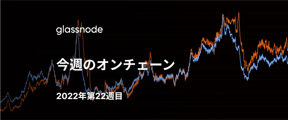 強健なHODLersによるダブルダウン