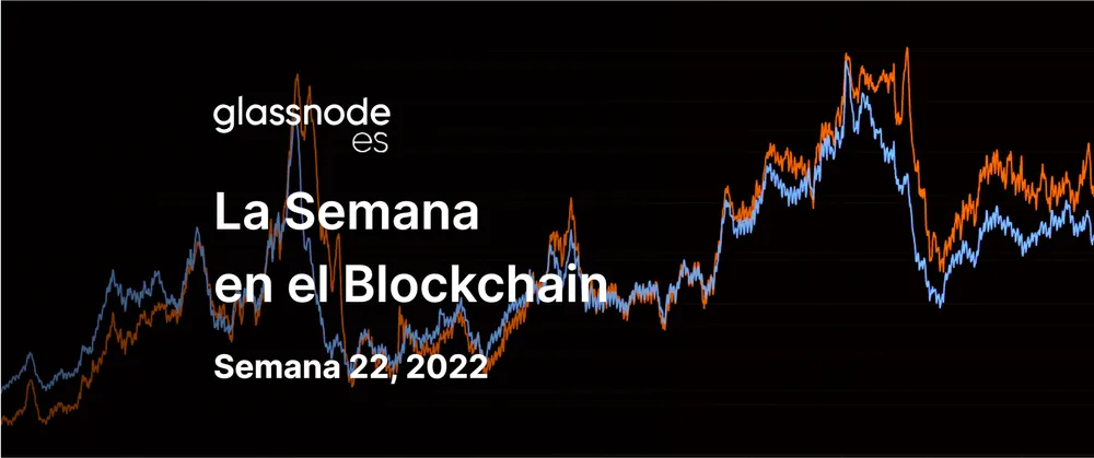 Los HODLers Curtidos Doblan la Apuesta