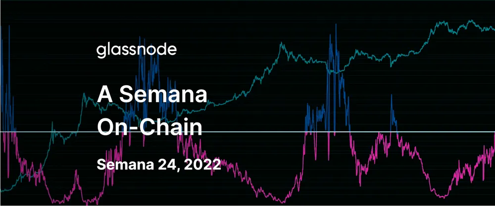 A Fase Mais Escura do Urso