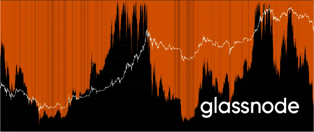 Um Urso de Proporções Históricas