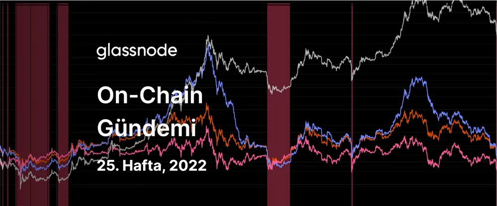 Devrilen Domino Taşları: Kapitülasyonlar