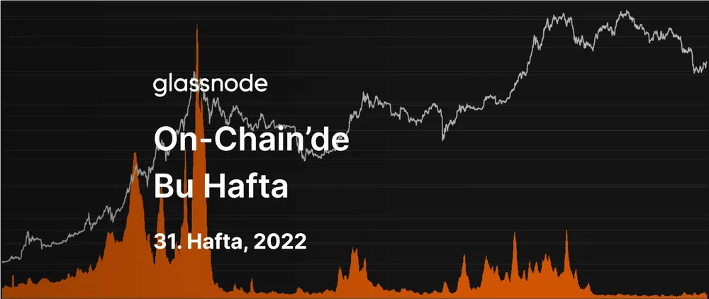 Ayı Piyasası Rallisi mi Başlıyor?