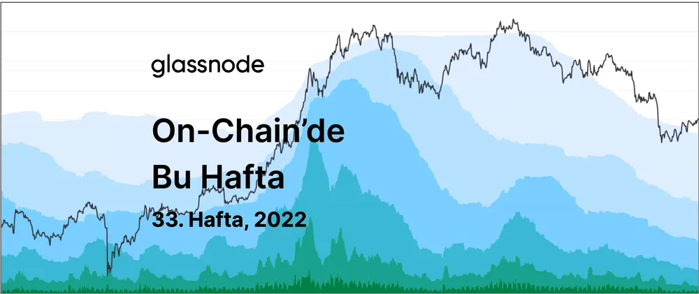 Coinlerin Olgunlaşma Yolunda Zorlu Serüveni