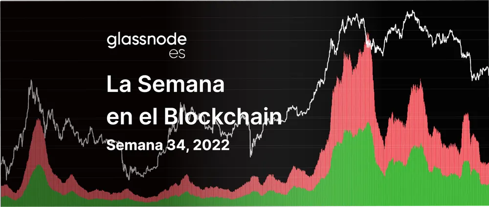 Un Espejismo en el Mercado Bajista