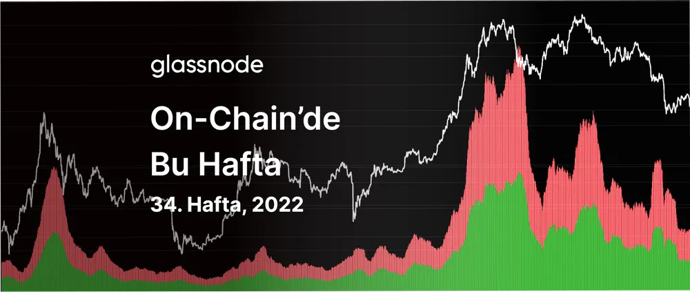 Bir Ayı Piyasası İllüzyonu