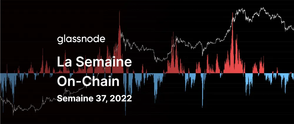 Rebond sur le Plancher du Marché Baissier