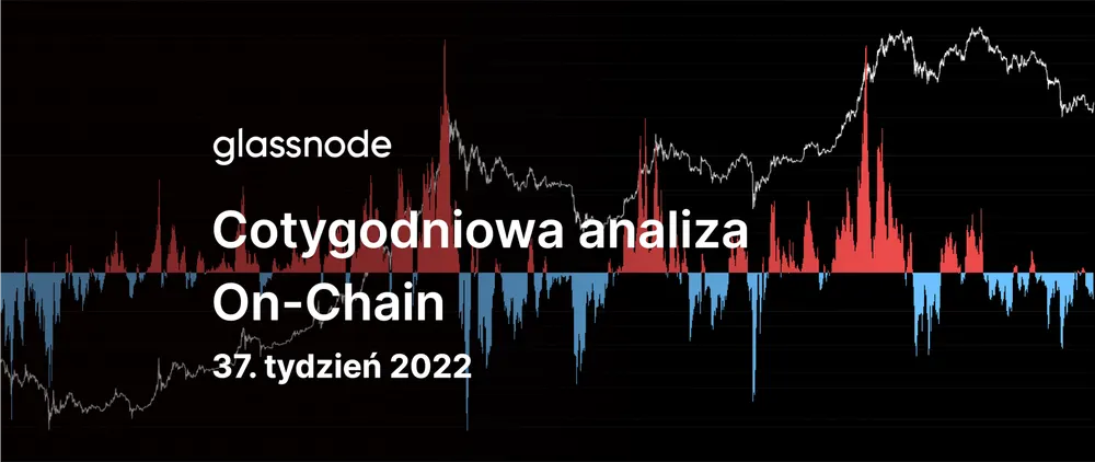 Rajd z dołków bessy