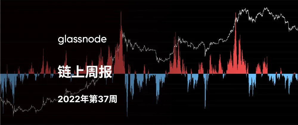 从熊市低点开始的反弹