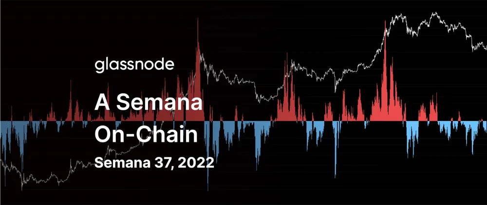 Um Rali Saindo das Mínimas do Mercado Urso