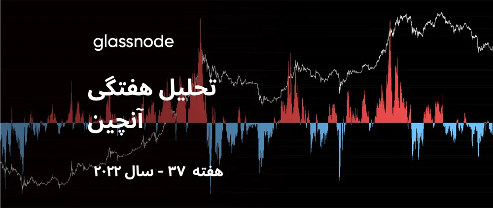 جهشی کوتاه مدت در کف فاز خرسی