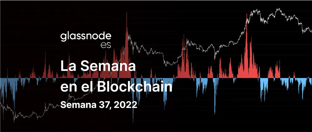 Un Impulso Alcista Desde los Mínimos del Mercado Bajista