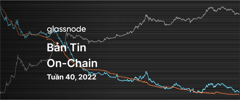 Hashrate Đạt Đỉnh Mới