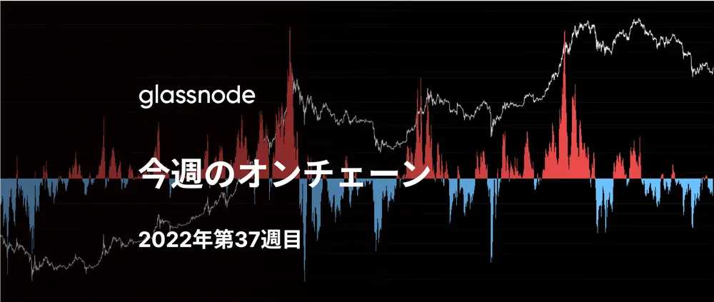 ベアマーケットにおける安値からの反騰