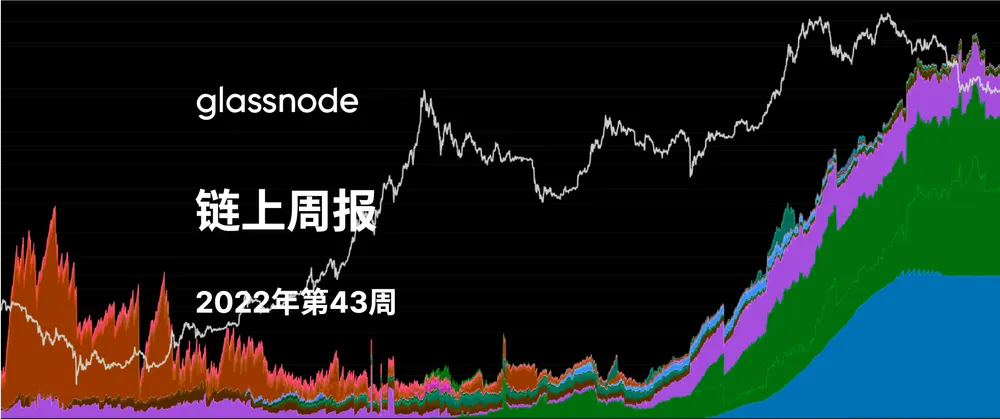 比特币牛市和熊市案例研究