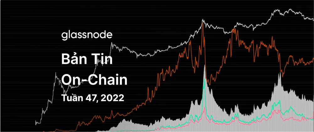 Sự Không Chắc Chắn Giữa Cá Voi Và Hodler Kinh Nghiệm