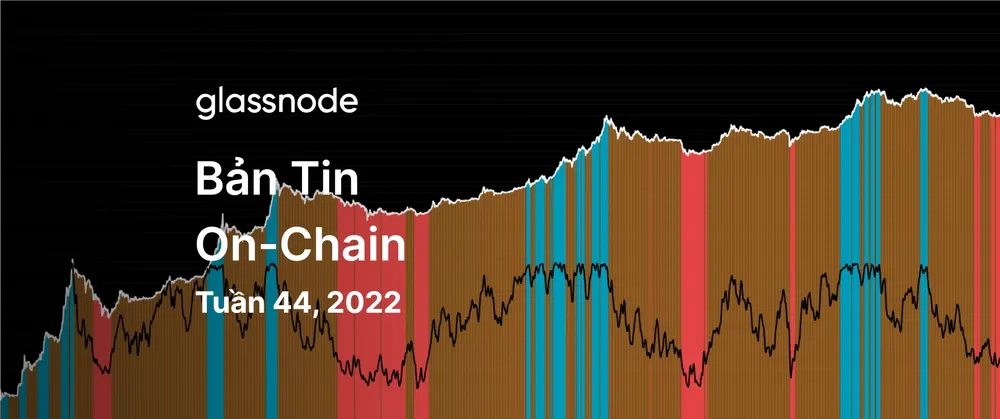 Bitcoin Tiếp Tục Dò Đáy