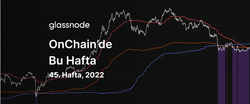 Yavaş Ama Emin Adımlarla