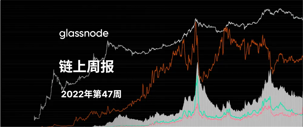 巨鲸和老手们的不确定性