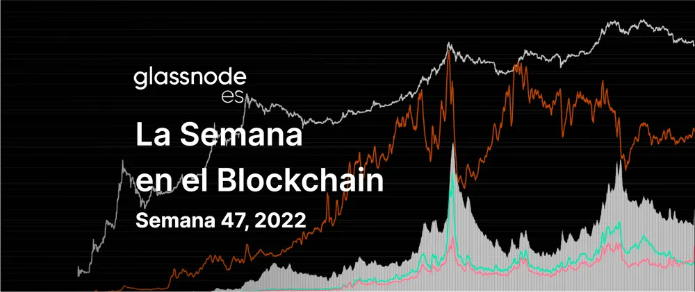 Incertidumbre Entre Ballenas y Antiguos Inversores