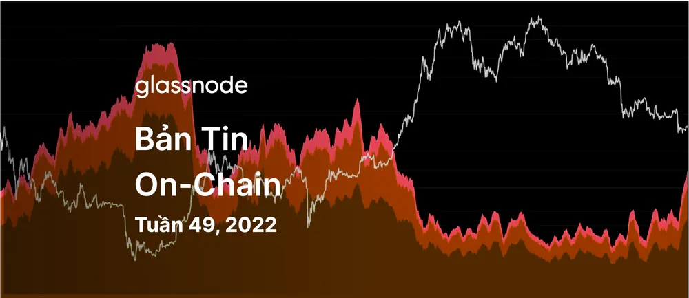 Tái Cấu Trúc Nguồn Vốn