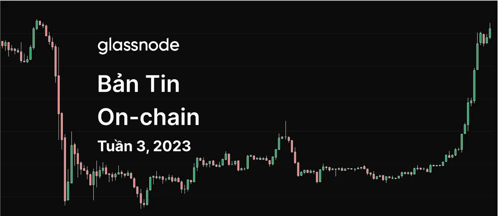 Bitcoin Hồi Phục?