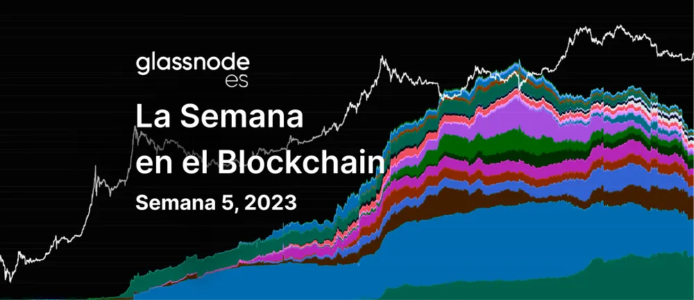 Demanda Spot y Estrangulación de Cortos