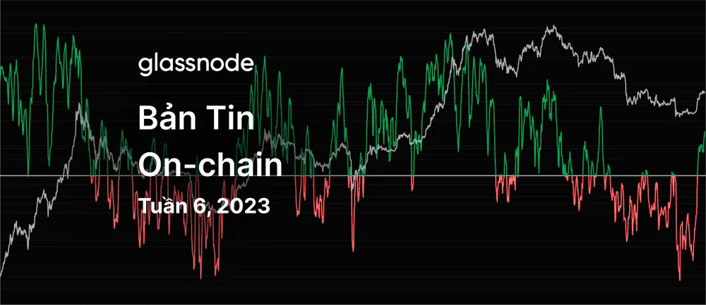 Xu Hướng Thay Đổi