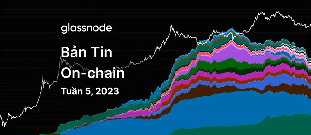 Thanh Lý Lệnh Short Và Nhu Cầu Mua