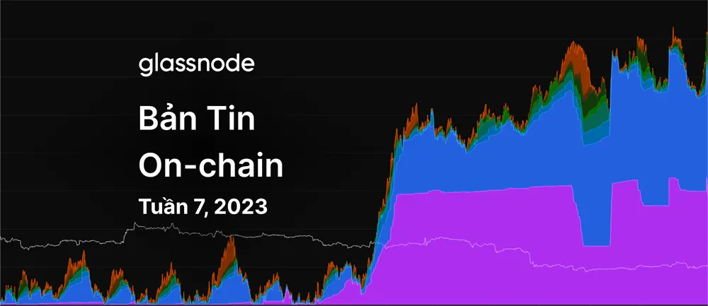Sự Xuất Hiện Của Giao Thức Ordinals