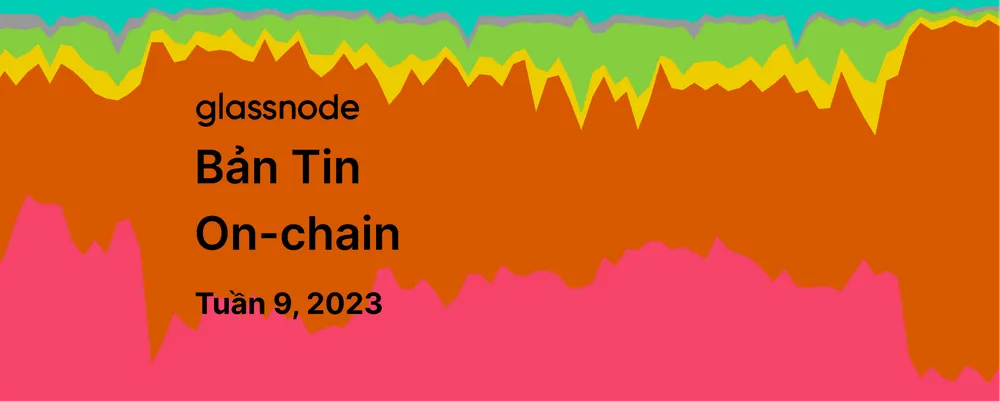 Chuyên Nghiệp Hóa Giao Dịch NFT