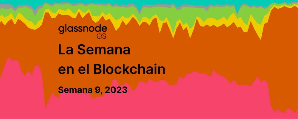 Se Profesionaliza el Trading de NFTs