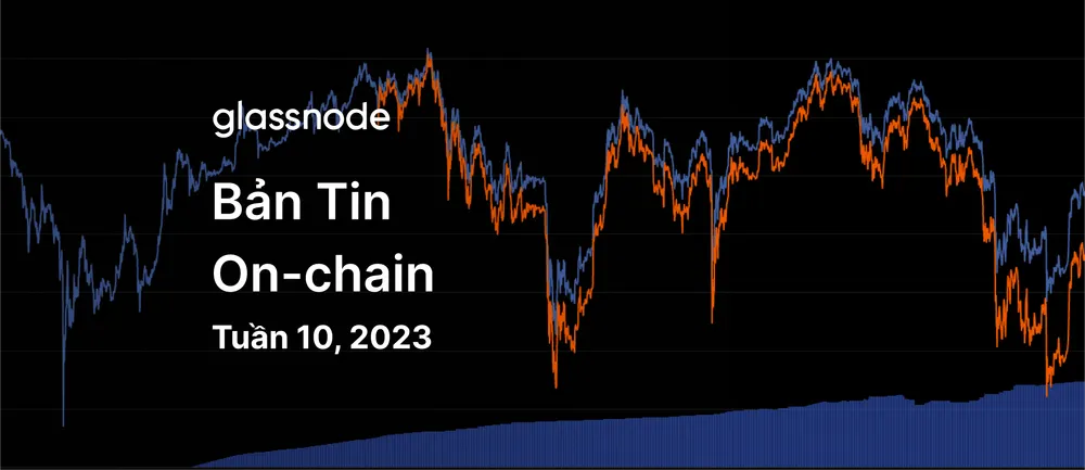Bitcoin Bị Từ Chối Tại Cơ Sở Chi Phí