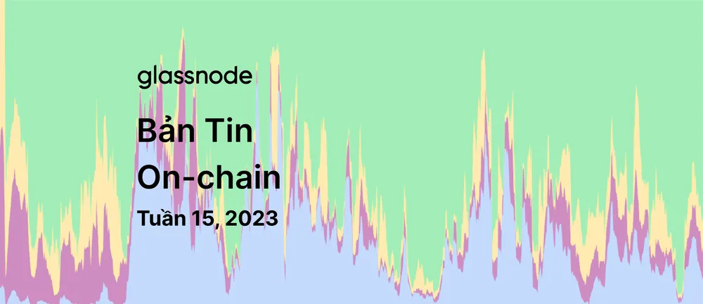 Mô Phỏng Bên Bán Sau Shanghai: Điều tra Mở Khóa Ethereum