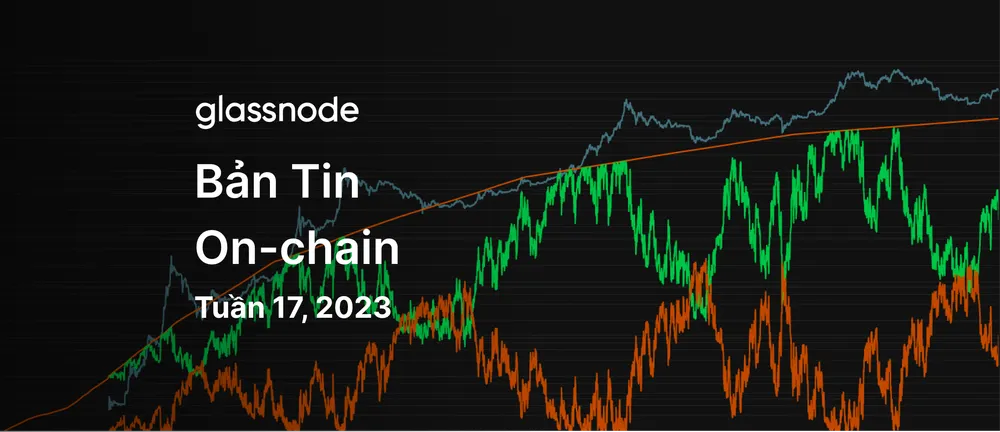 Sự Cám Dỗ Của Lợi Nhuận