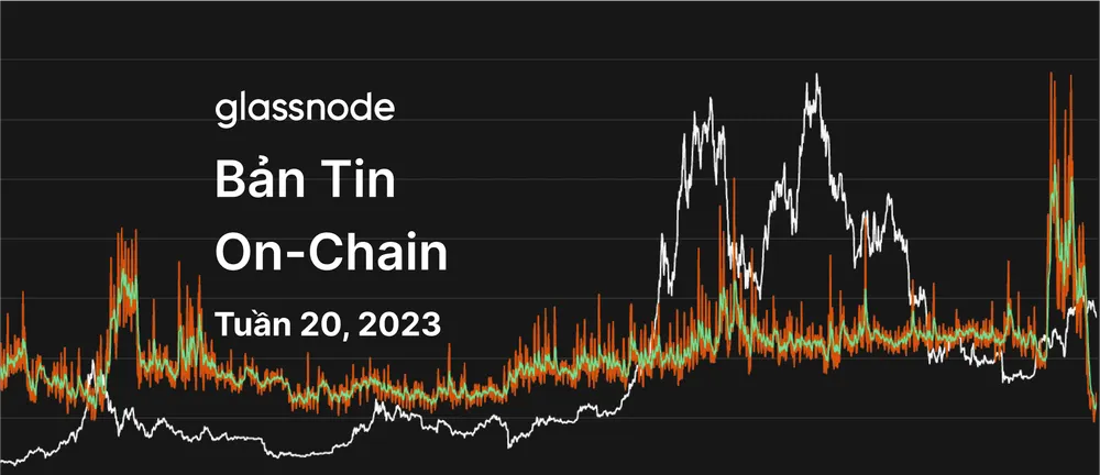 Sự Bùng Nổ Dung Lượng Khối Bitcoin
