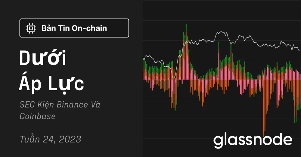 Dưới Áp Lực: SEC Kiện Binance Và Coinbase