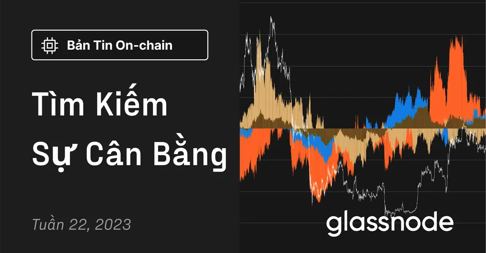 Tìm Kiếm Sự Cân Bằng