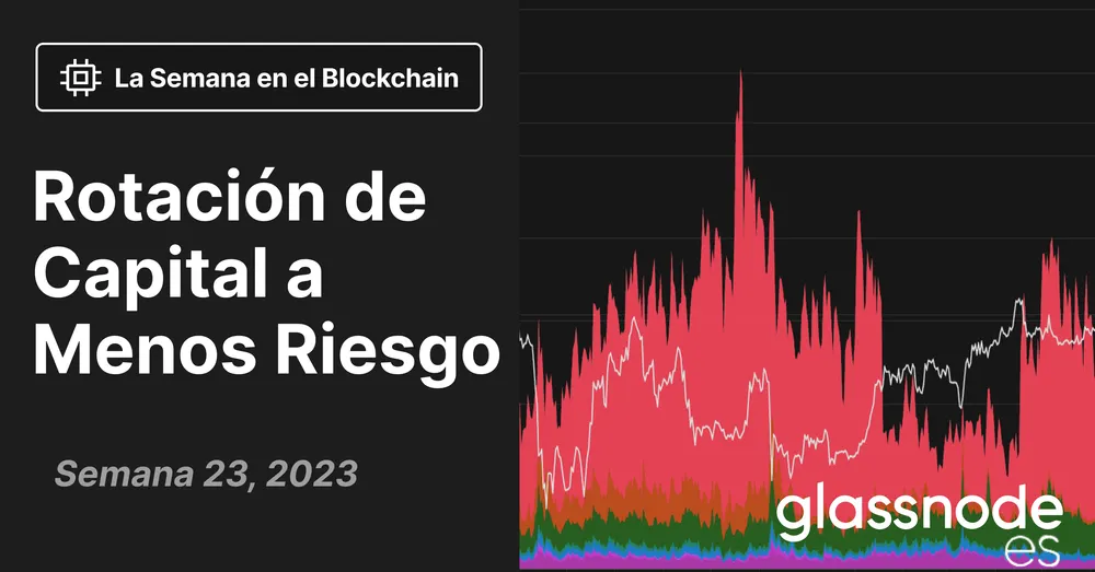 Rotación de Capital para Evadir Riesgos