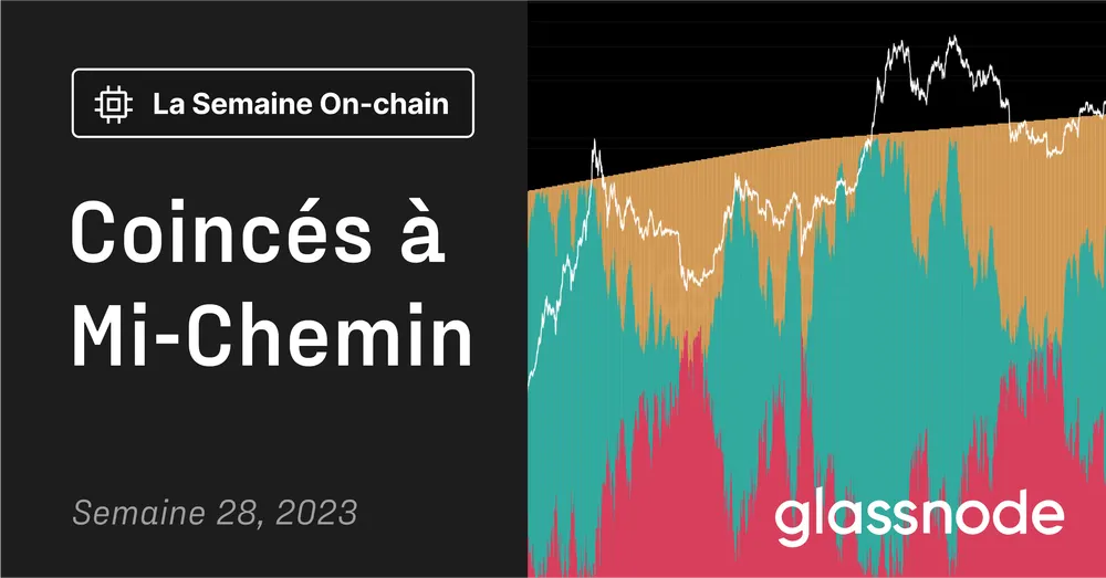 Coincés à Mi-Chemin