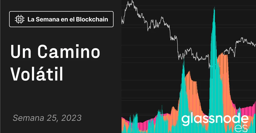 Camino Volátil a Ninguna Parte