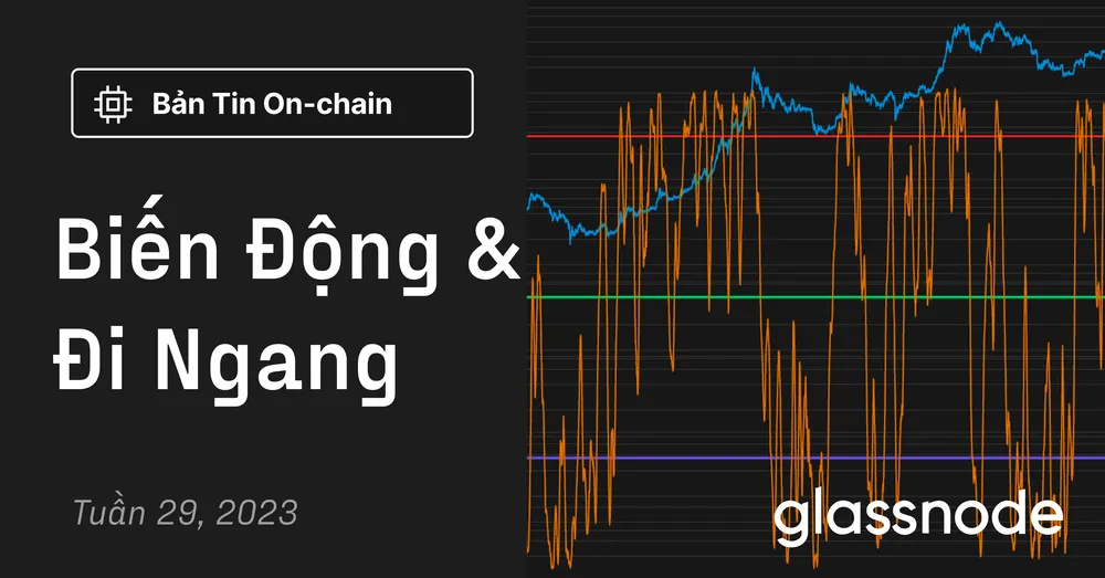Biến Động Và Đi Ngang