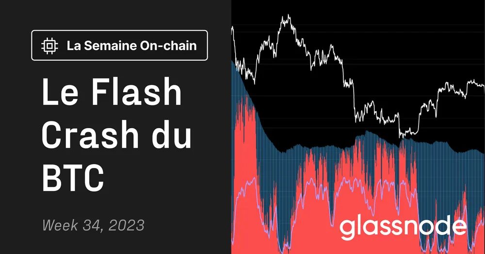 Le Flash Crash du BTC