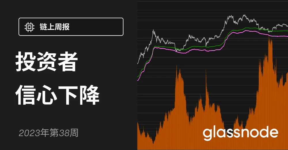 投资者信心下降