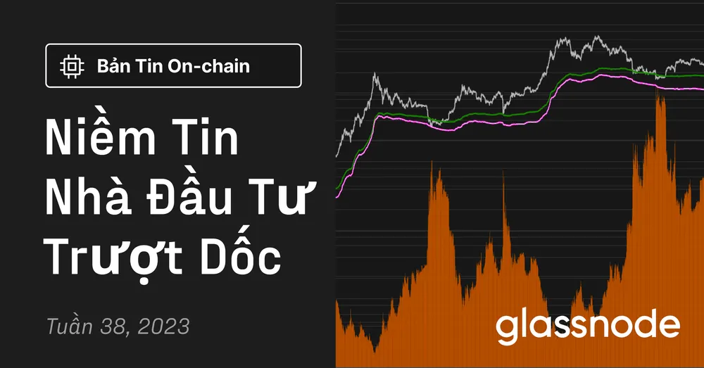 Niềm Tin Nhà Đầu Tư Trượt Dốc