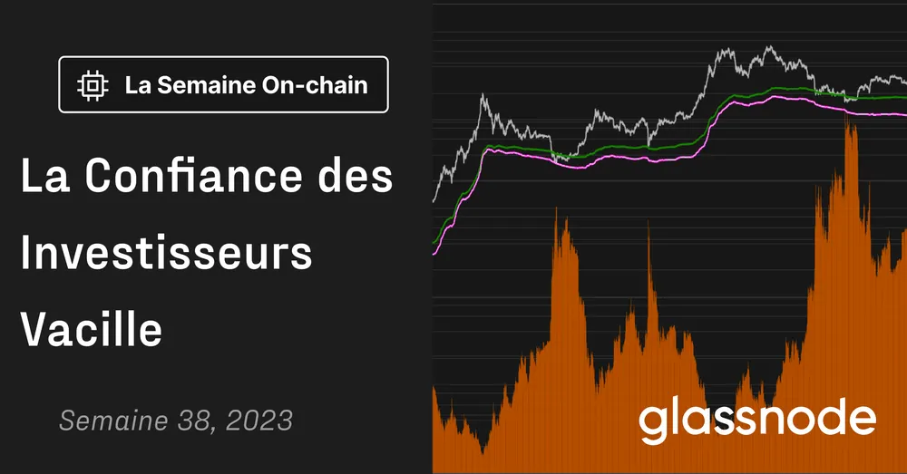 La Confiance des Investisseurs Vacille